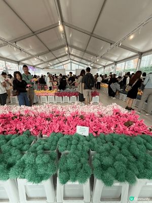 之前中環舉行嘅CJ hendry flower market