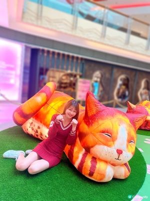 去西九文化區搵巨貓一家三口~