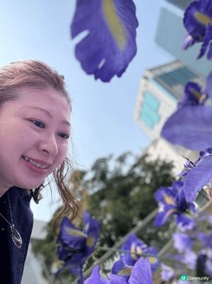 之前介紹了中航城君尚的打卡點，最近過去又悄悄地變了妝，紫色t