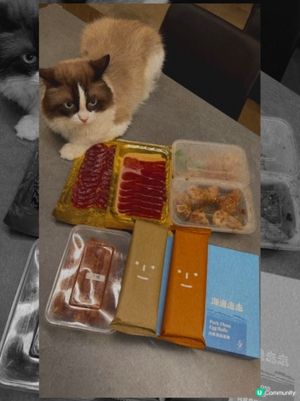 買書 0% | 買嘢食 100% 💯