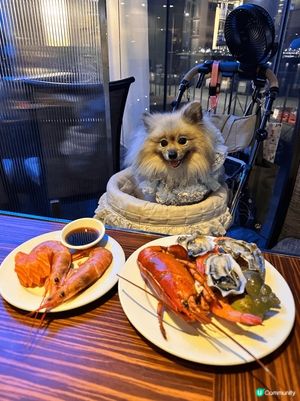 生日帶毛孩食buffet