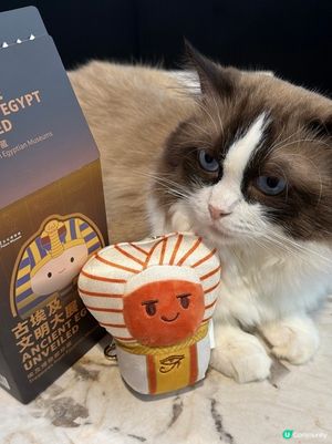 埃及展盲盒！🏺🎁