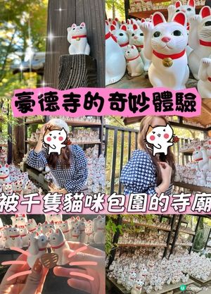 豪德寺の幸福感！招財貓の魅力😻