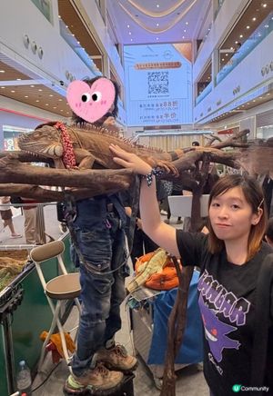 2026週末好去處 🐍《另類寵物世界2026》展覽🦎