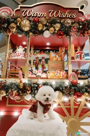 聖誕打卡超贊地！滿是聖誕元素，小兔玩偶、雪人擺件超可愛，還有