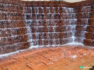 ## 彌敦道界限街，鬧市綠洲 🌳💦