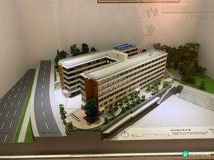 1.  深水埗美荷樓一日遊！🏘️ 歷史文化之旅🤩