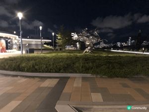 啟德海濱長廊，散步賞月一流！ 🌙🐶🏃‍♀️