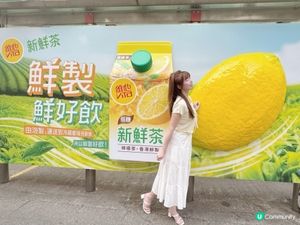 夏日限定！🍋維他新鮮茶感官巴士站✨