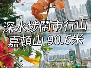 深水埗綠洲 🌄 嘉頓山賞花🌸