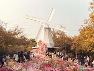 深圳荷蘭花卉小鎮💐！打卡影相一流📸！