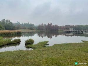 濕地公園懷舊遊！🌳🚶‍♀️🥰