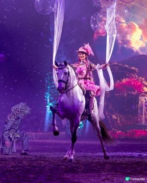 獨特嘅魔幻馬術體驗