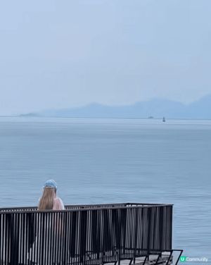 深圳海上列車🚃 美到爆💥