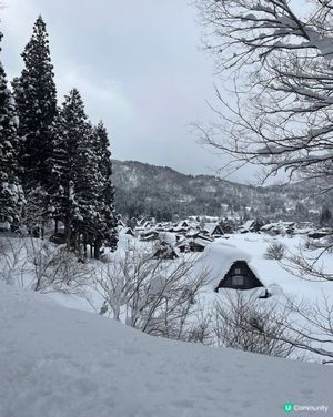 ❄️銀白雪景的童話世界🗻