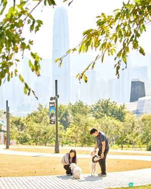 西九打卡！🐶 狗狗放電好地方