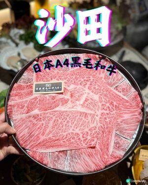 天氣凍❄️打邊爐暖笠笠！養生鍋正！😋