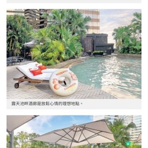 君悅酒店 露天池畔酒廊 享受微醺時光