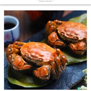 都會海逸酒店 一皇一后清蒸大閘蟹