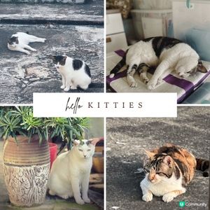 三門仔秋日影景之選📸 🏞️