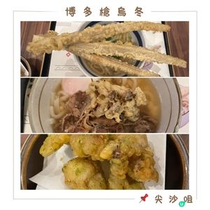 🤍尖沙咀。博多槍烏冬