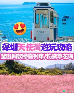 深圳天使灣遊玩攻略🌊釜山同款膠囊列車/粉黛草花海🩷