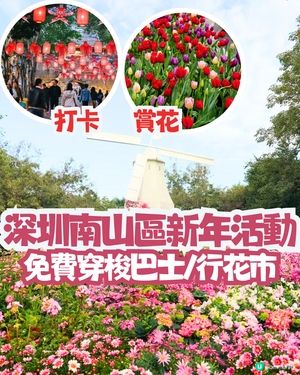 深圳南山新年活動🧨免費穿梭巴士‼️必逛花市/3D燈光騷/鬱金香花海/歐陸風車/互動裝置😍