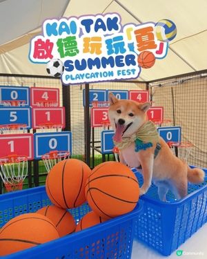 暑假玩樂推介！啟德嘉年華🎡！ (14字)