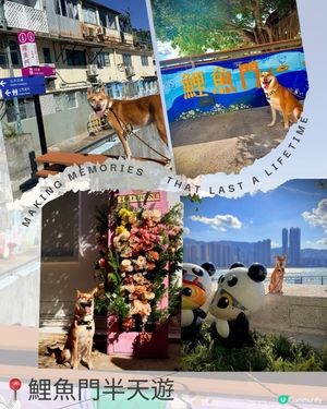 ❤️鯉魚門半日遊🌟 #香港好去處