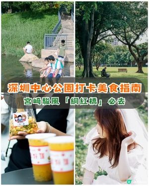 深圳華強北中心公園周末必去🍃宮崎駿「網紅橋」小紅書爆紅必打卡✨
