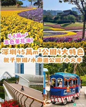 深圳南山區45萬m²公園4大特色🌸4.6萬m²三色堇花海/親子樂園/水廊道公園/小火車
