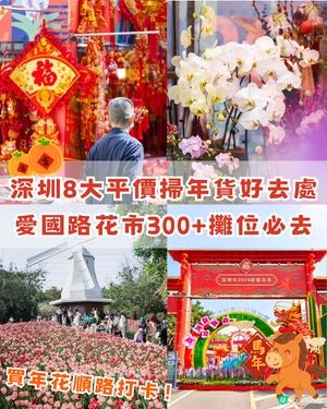 深圳新年8大平價掃年貨好去處🧧愛國路花市、荷蘭花卉小鎮超有過年氣氛🍊