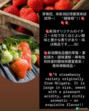 🍓越後姫🍓新潟獨有品種！ 🤤士多啤梨控必吃！