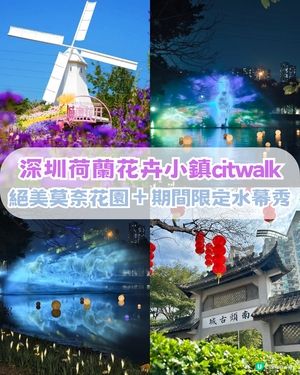 深圳南山區荷蘭花卉小鎮Citywalk攻略！期間限定免費水幕秀
