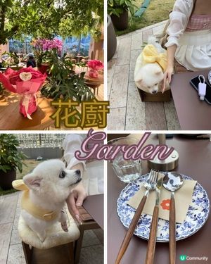 花廚啟德新店，花團錦簇！🌸🐶