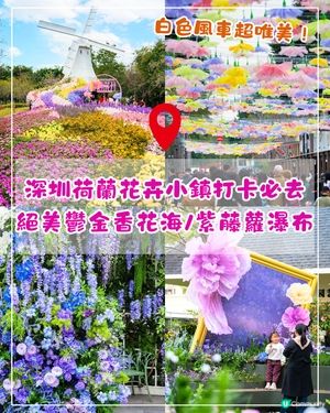 深圳荷蘭花卉小鎮鬱金香花海盛開🌷白色風車仿似童話故事✨紫藤蘿瀑布超夢幻必打卡