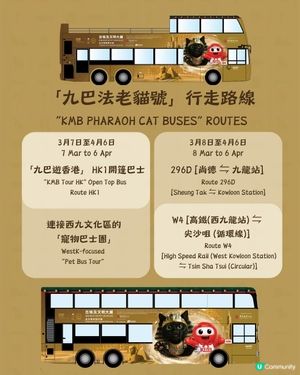 香港故宮「九巴法老貓號」 10輛主題巴士3月登場
