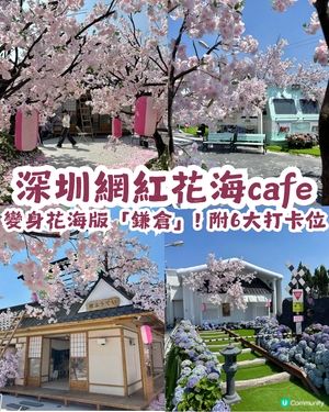 深圳網紅Cafe變身花海版「鎌倉」🌸附6大打卡位