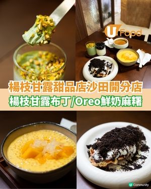 楊枝甘露專門店沙田開分店 楊枝甘露布丁/Oreo鮮奶麻糬                                                    