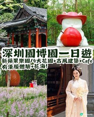 深圳園博園慢一日遊😌荷蘭菊紫色花海/新蘋果樂園/4大國際花園/漢服體驗/4大Cafe