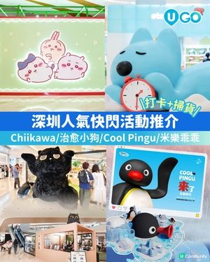 【深圳人氣快閃活動✨】