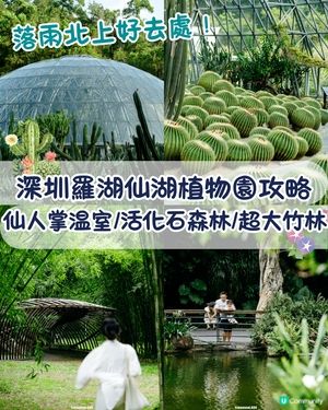 深圳羅湖仙湖植物園￥15超好行🍃睇1000+仙人掌🌵3大溫室+夢幻荷塘雨天放鬆必去！