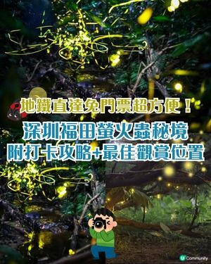 夏夜限定｜深圳福田CBD螢火蟲秘境🌟附觀螢地鐵直達超方便