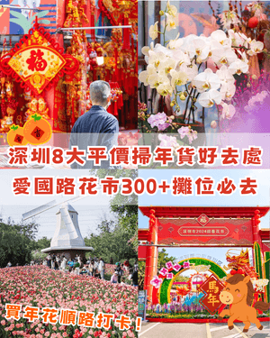 深圳新年8大平價掃年貨好去處🧧愛國路花市、荷蘭花卉小鎮超有過年氣氛🍊