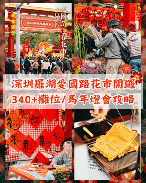 深圳羅湖愛國路花市開鑼🌸千米花街逾340+攤位😍必打卡新年燈會✨