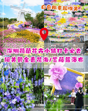 深圳荷蘭花卉小鎮鬱金香花海盛開🌷白色風車仿似童話故事✨紫藤蘿瀑布超夢幻必打卡