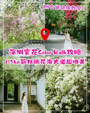 深圳花海浪漫Color Walk路線💐漫步1.5km花海大道🌸打卡園博園粉色花瀑✨