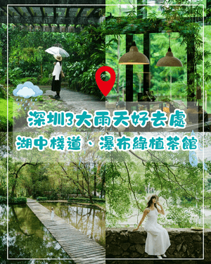 深圳落雨3大閒逛好去處☔️漫步植物園、打卡瀑布綠植茶館🍵陰雨天都勁治癒🌱