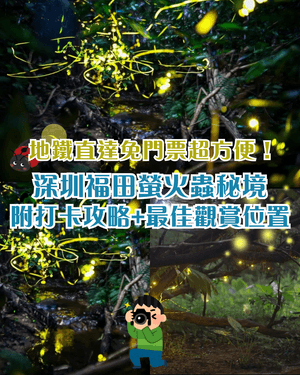 夏夜限定｜深圳福田CBD螢火蟲秘境🌟附觀螢地鐵直達超方便