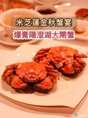 米芝蓮金秋蟹宴！爆膏陽澄湖大閘蟹🦀
